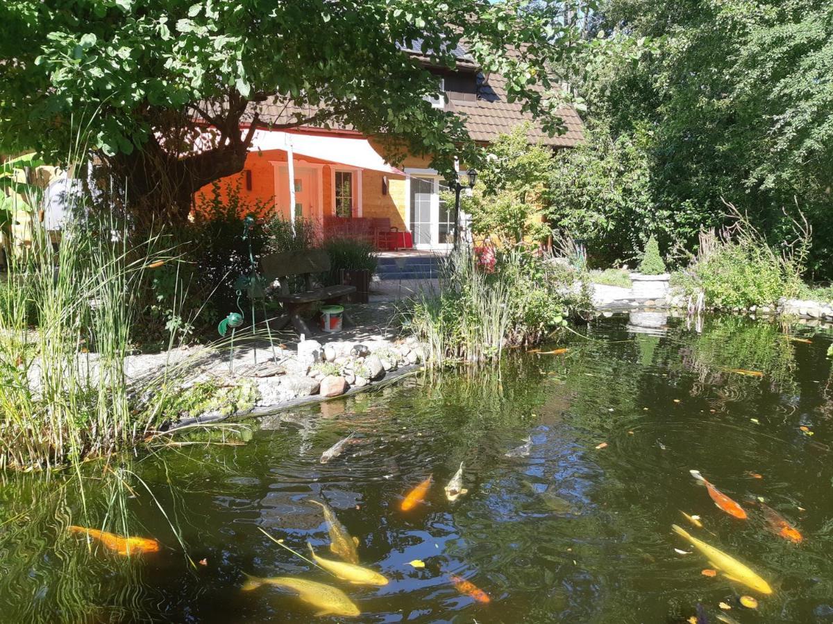 Salus Spreewald - Erholung & Natur - Kolonie  Exteriér fotografie
